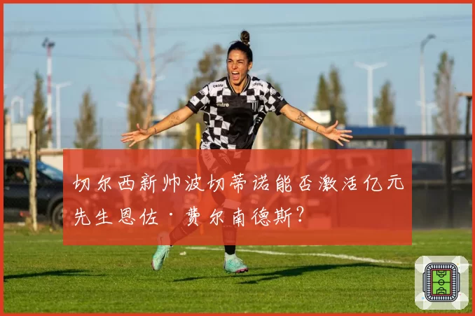切尔西新帅波切蒂诺能否激活亿元先生恩佐·费尔南德斯?