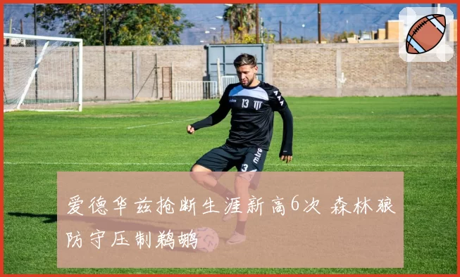 爱德华兹抢断生涯新高6次 森林狼防守压制鹈鹕