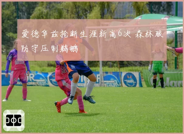 爱德华兹抢断生涯新高6次 森林狼防守压制鹈鹕