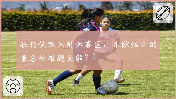 独行侠跌入附加赛区，东欧组合的兼容性难题无解？